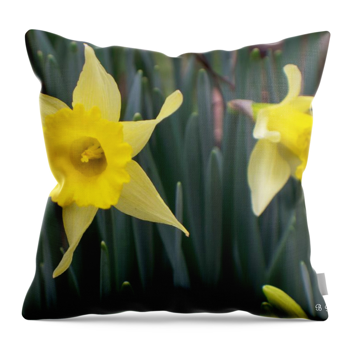Daffodil Throw Pillow featuring the photograph Sign Of Spring by Betty Northcutt