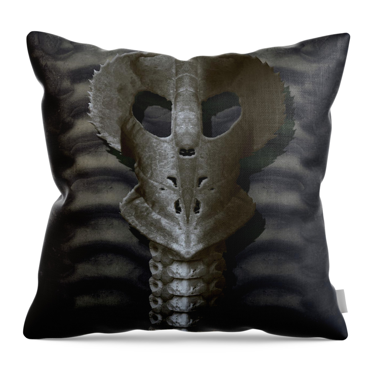 Silence Throw Pillow featuring the digital art Silence Deux by WB Johnston