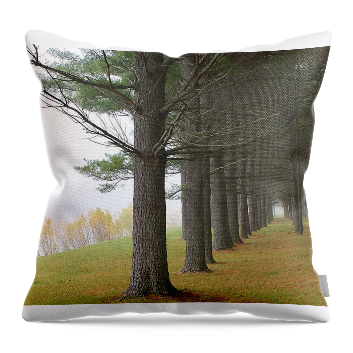 Woodland Throw Pillow featuring the photograph Silence in the Air by Bruce Bley