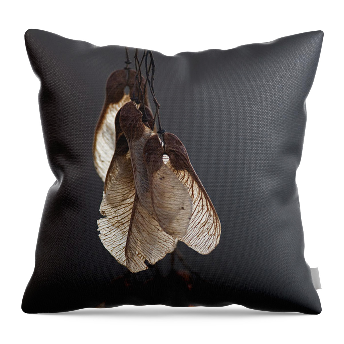 Nina Stavlund Throw Pillow featuring the photograph Silent Poetry... by Nina Stavlund