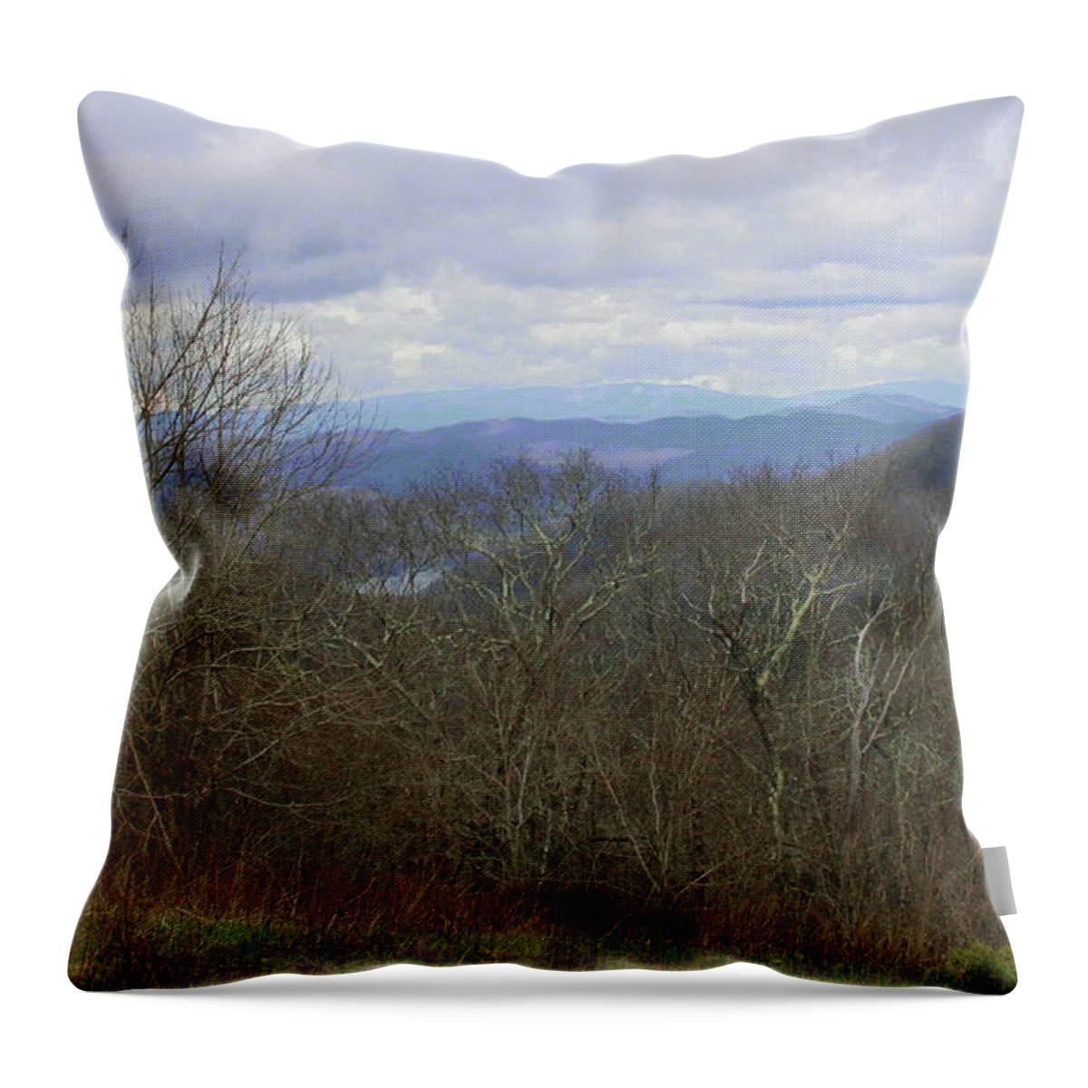 Nantahala National Forest Throw Pillow featuring the photograph Silers Bald 2015c by Cathy Lindsey