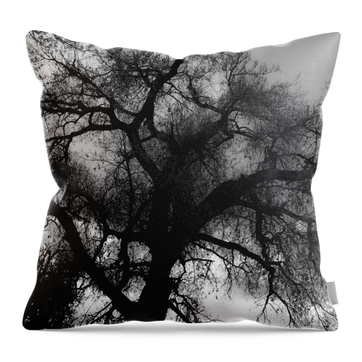Silhouette Throw Pillow featuring the photograph Silhouette by James BO Insogna