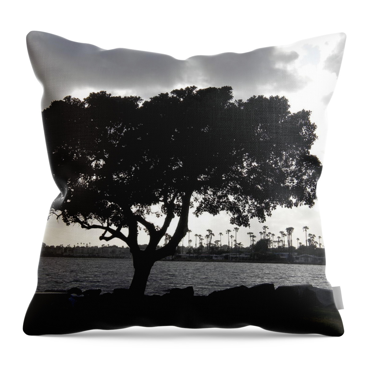 Mission Bay Throw Pillow featuring the photograph Silhouette of Tree by Bridgette Gomes