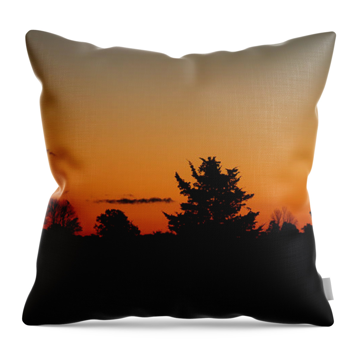 Nature Throw Pillow featuring the photograph Silhouettes at Dawn by Joe Ng