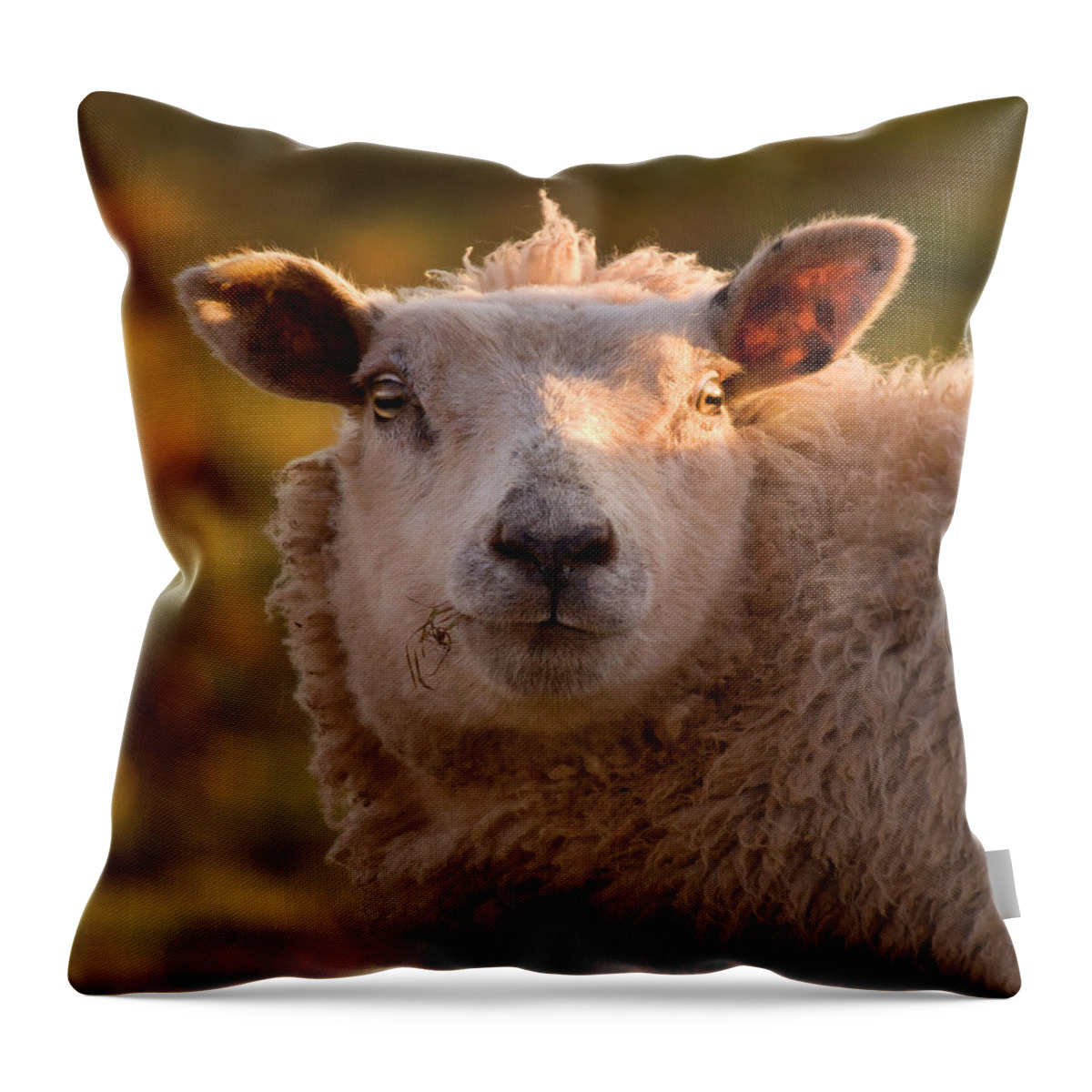 Sheep Throw Pillow featuring the photograph Silly Face by Ang El