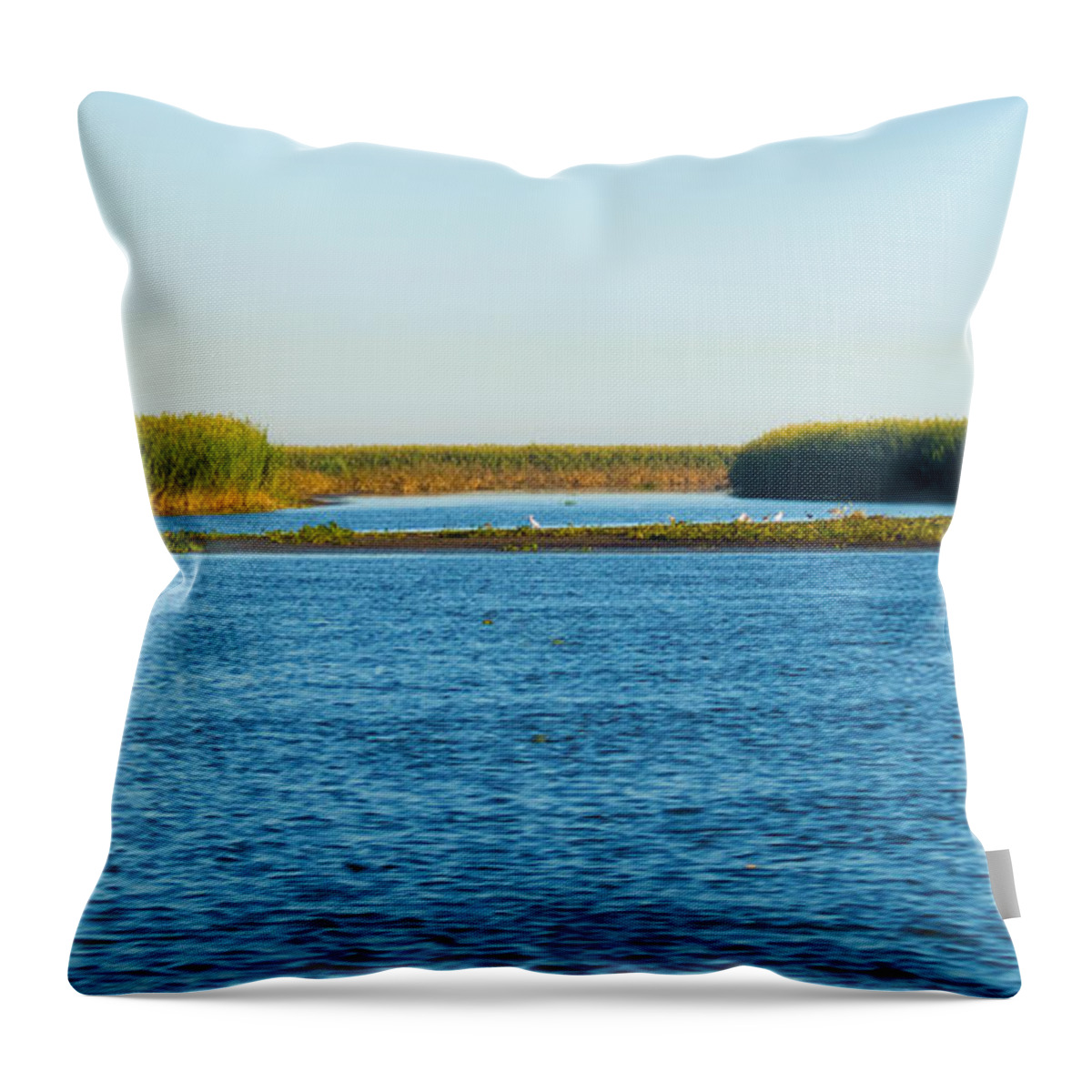 Gulf Of Mexico Throw Pillow featuring the photograph Silt Islands and Banks Mississippi River Delta Louisiana by Paul Gaj