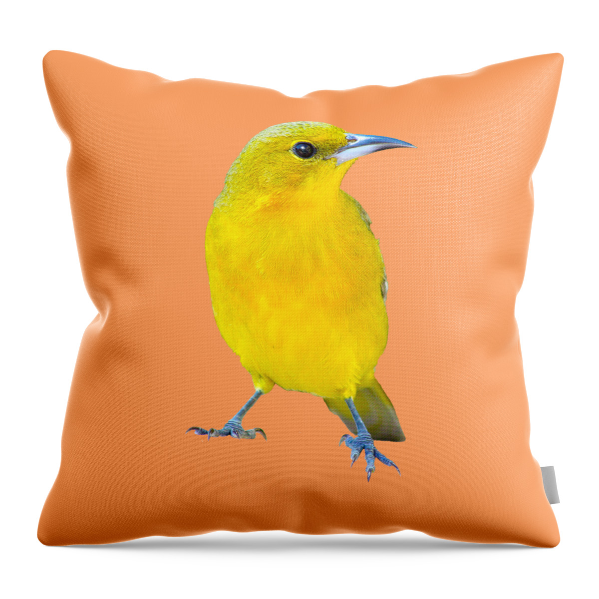 Amakihi Throw Pillow featuring the photograph Silver and Gold by Shane Bechler