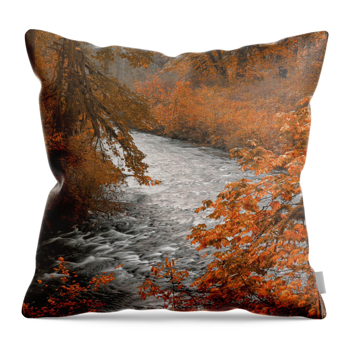 Water Throw Pillow featuring the photograph Silver Creek by Don Schwartz