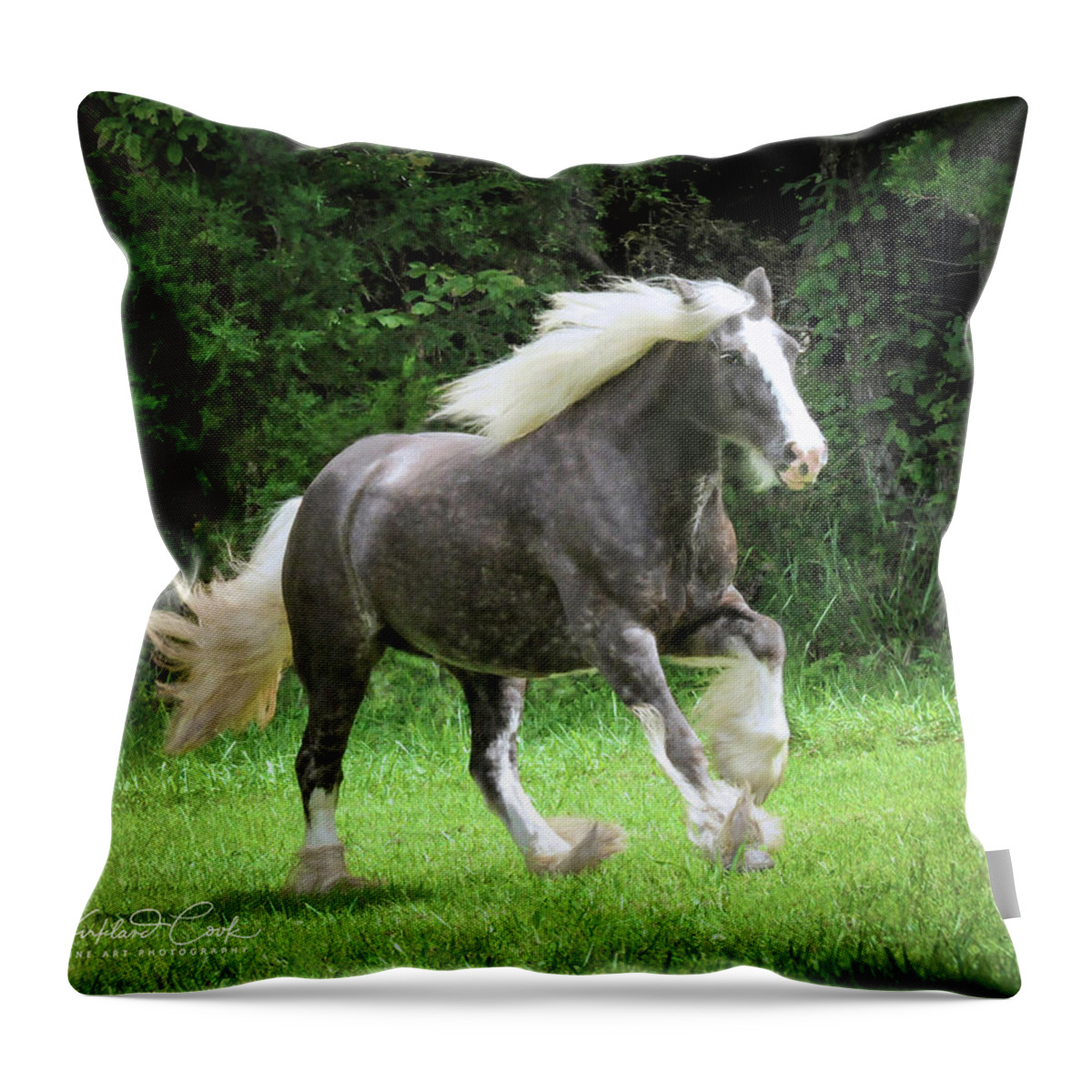 Horse Throw Pillow featuring the photograph SIlver Reign Just Dazzling by Terry Kirkland Cook