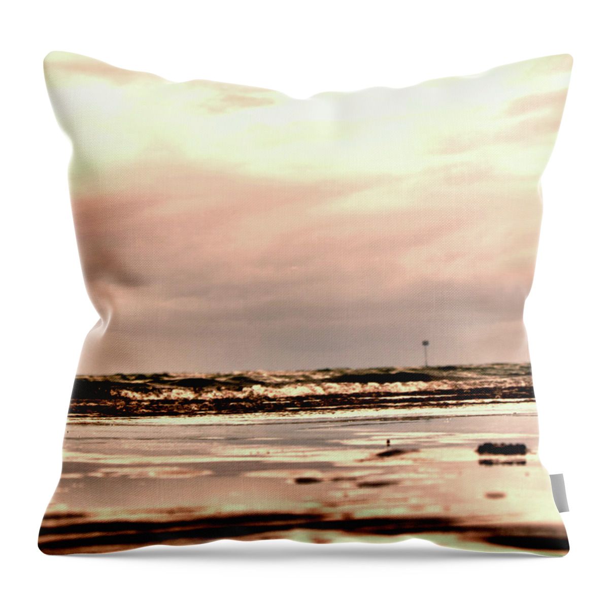 Landscape Throw Pillow featuring the photograph Silver Shine Beach by Michael Blaine