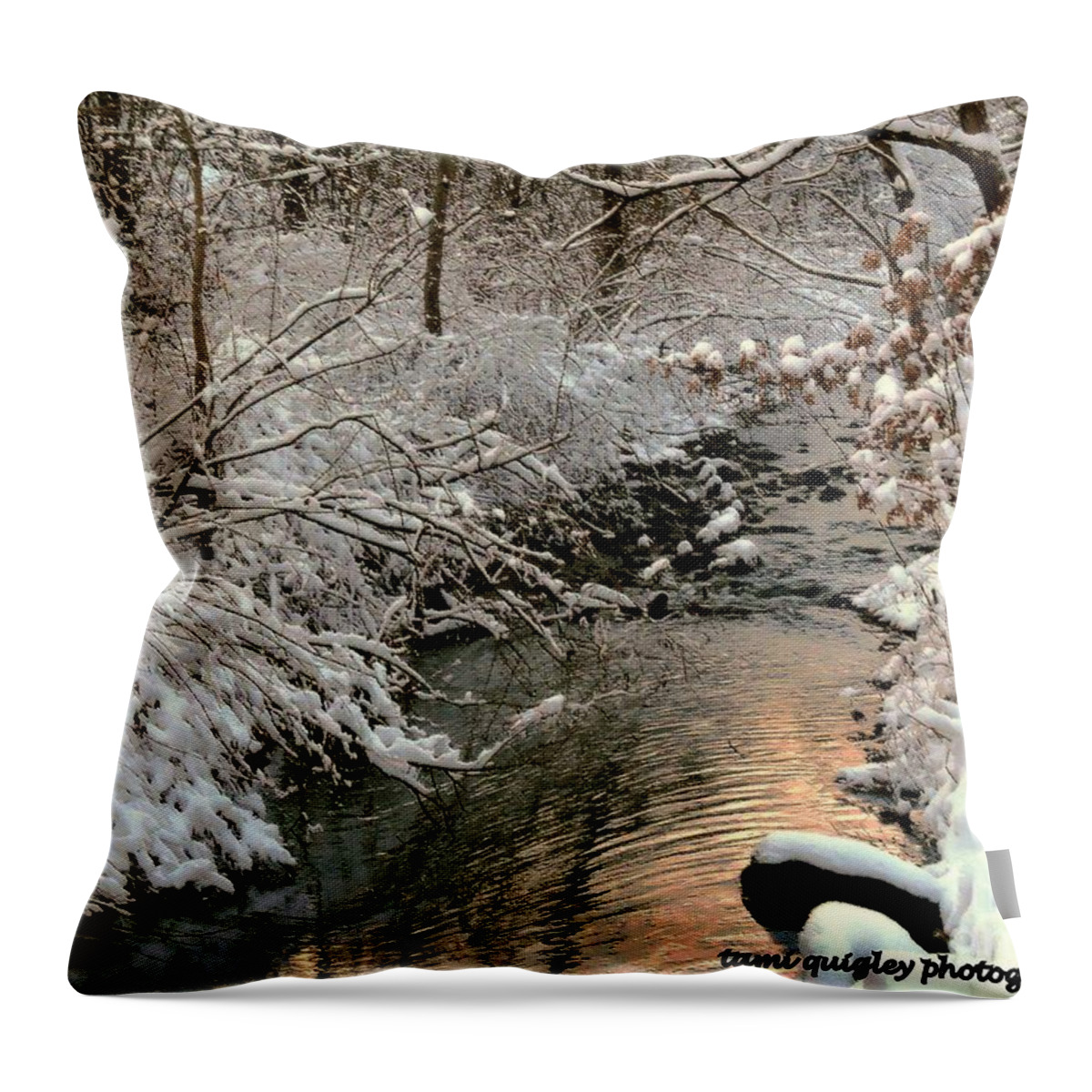 Winter Throw Pillow featuring the photograph Silvered Shores by Tami Quigley