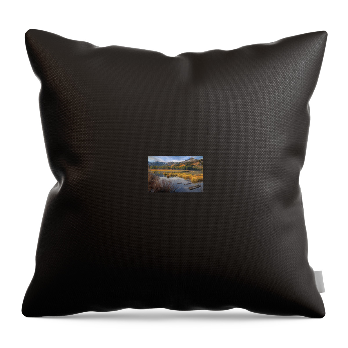  Silver Lake Throw Pillow featuring the photograph Silver Lake #1 by Douglas Pulsipher