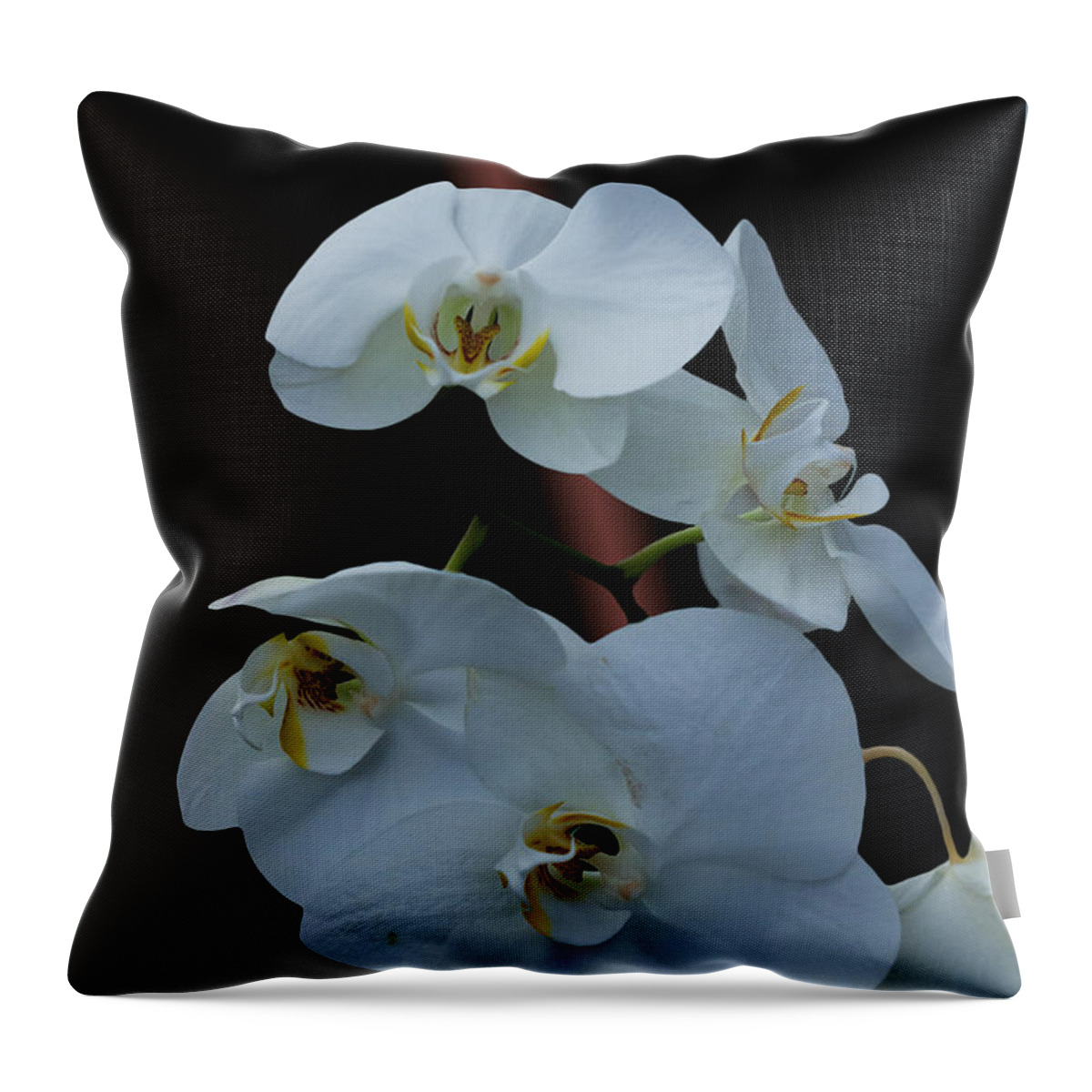 #orchids Throw Pillow featuring the photograph Simple Elegance by Ramabhadran Thirupattur
