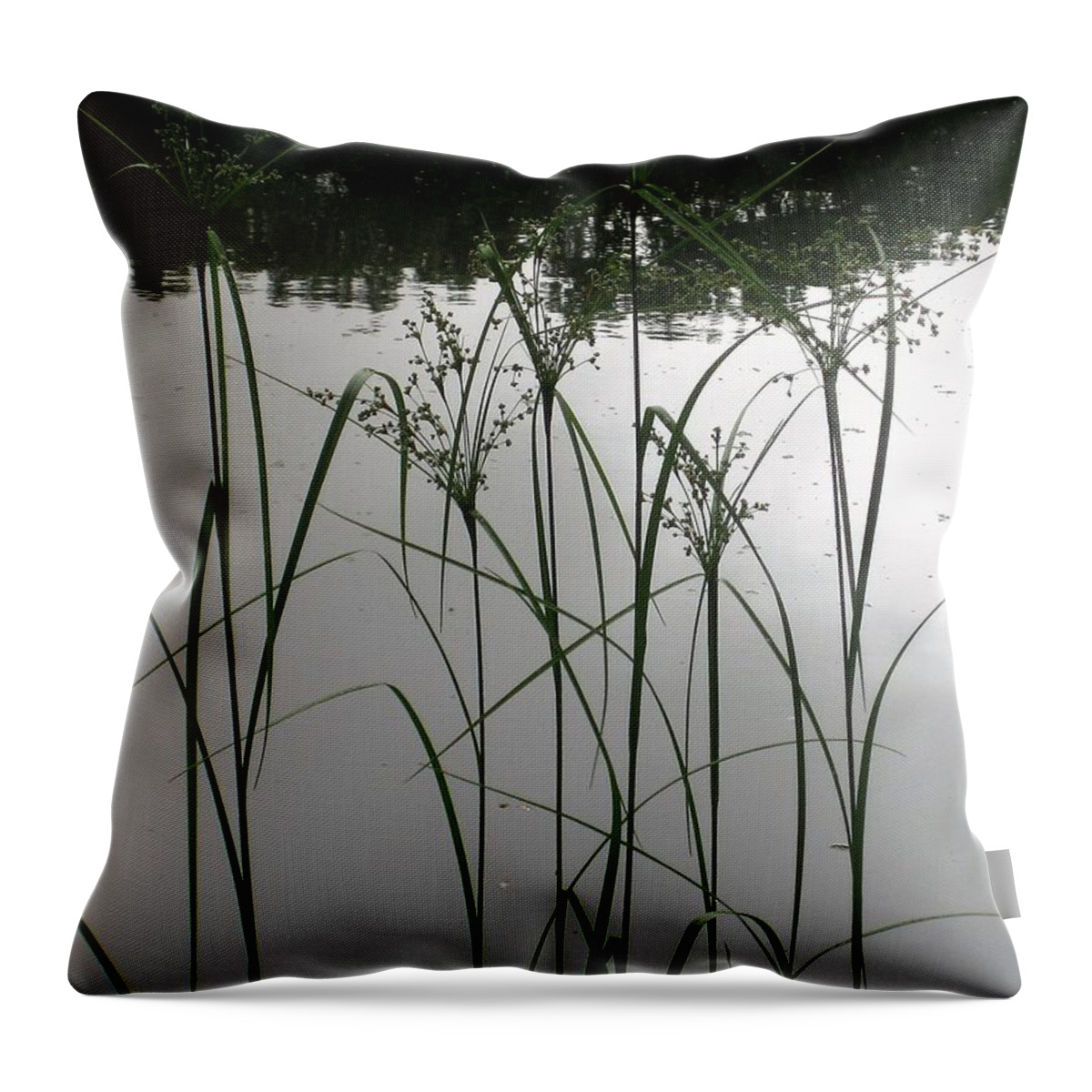 Photos By Paul Meinerth Throw Pillow featuring the photograph Simple Grass by Paul Meinerth