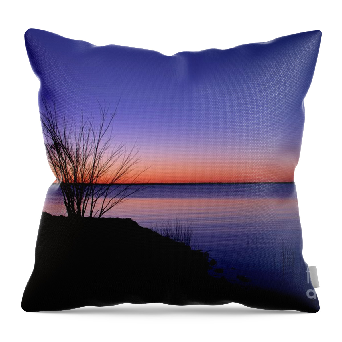 Sunrise Throw Pillow featuring the photograph Simply Gentle Blue by Diana Mary Sharpton
