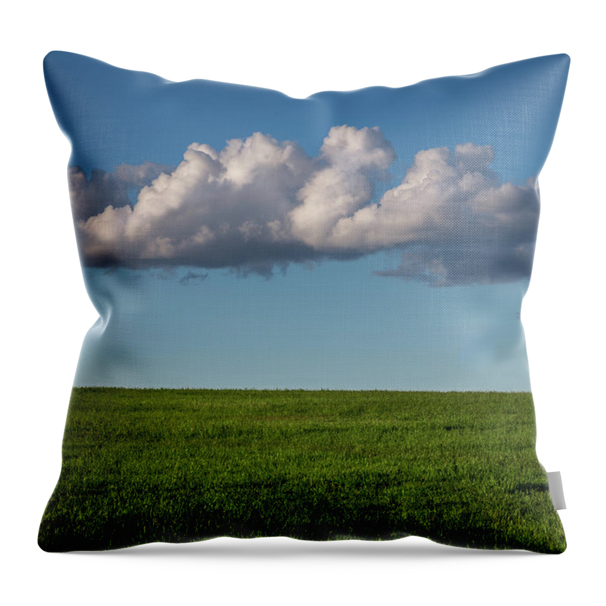 Blue Throw Pillow featuring the photograph Simply surreal summer by Jen Manganello