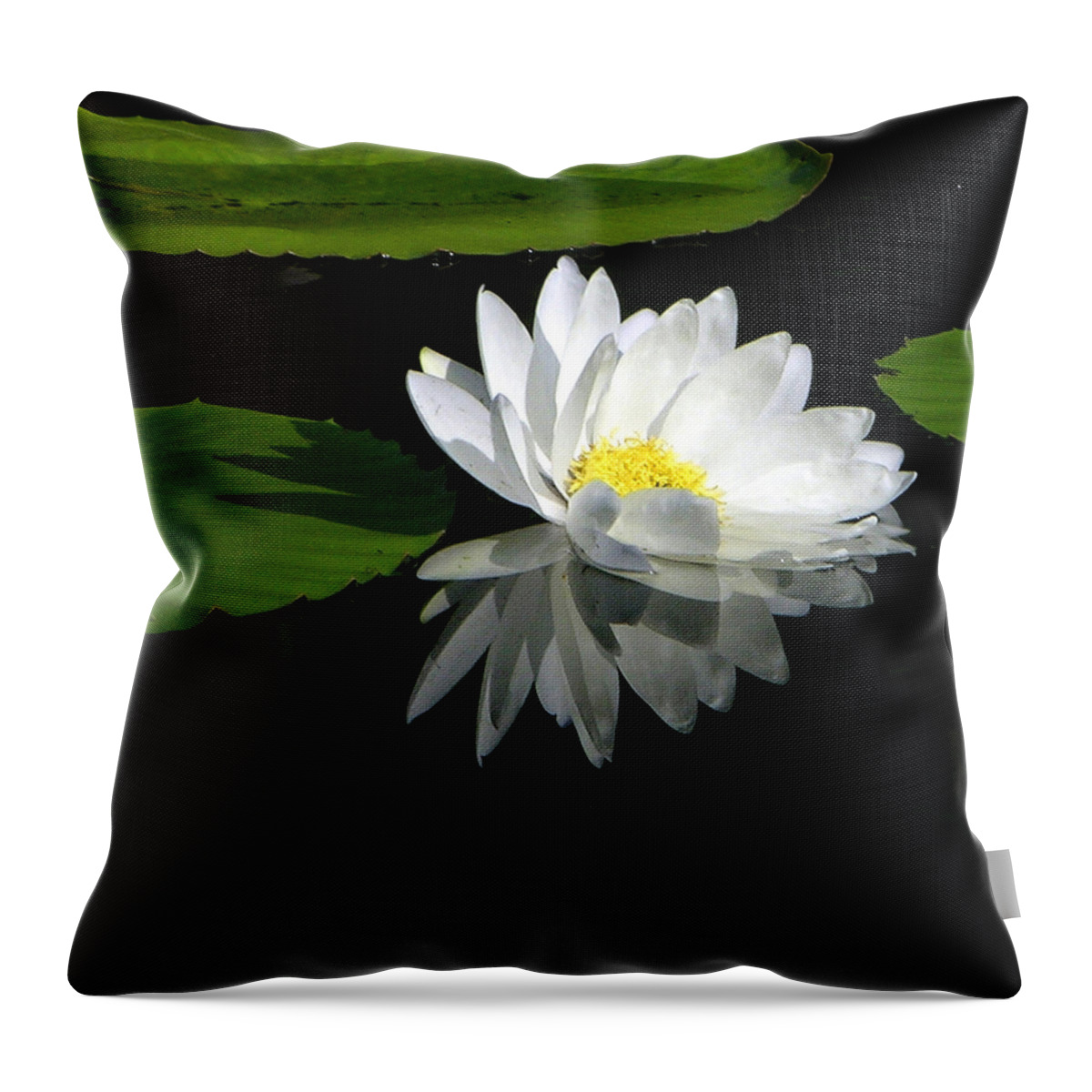 Water Lily Throw Pillow featuring the photograph Simply White on Black by John Lautermilch