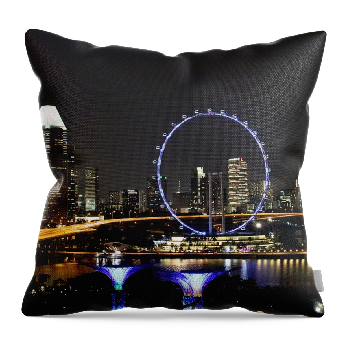 Singapore Throw Pillow featuring the photograph Singapore Eye by Diane Height