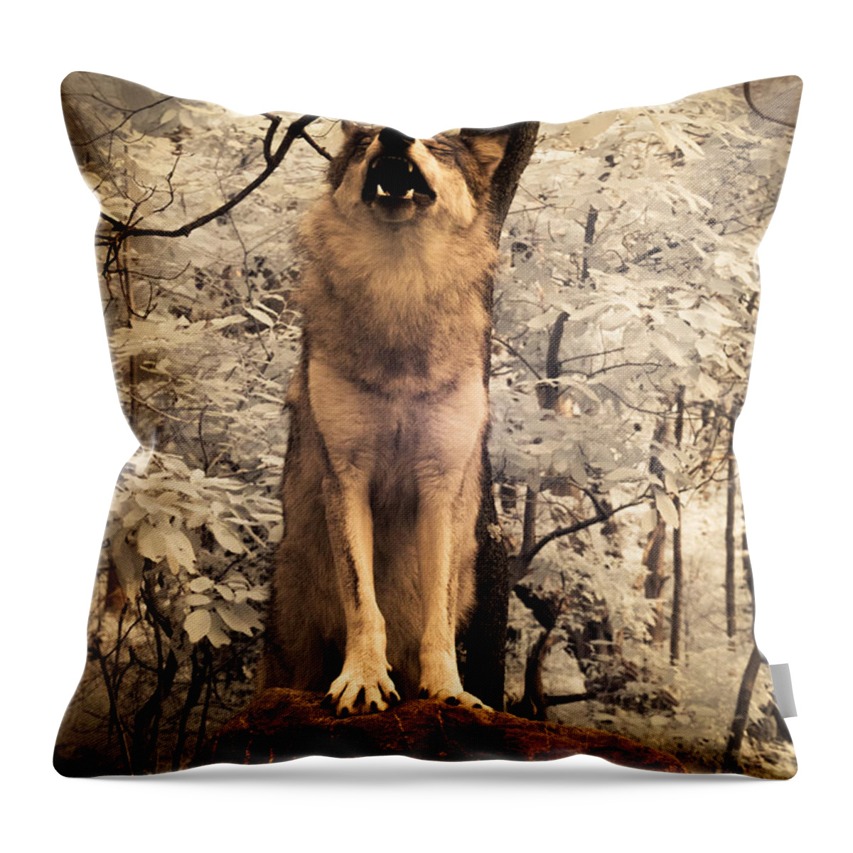 Singing A Soulful Tune Throw Pillow featuring the digital art Singing a Soulful Tune by William Fields