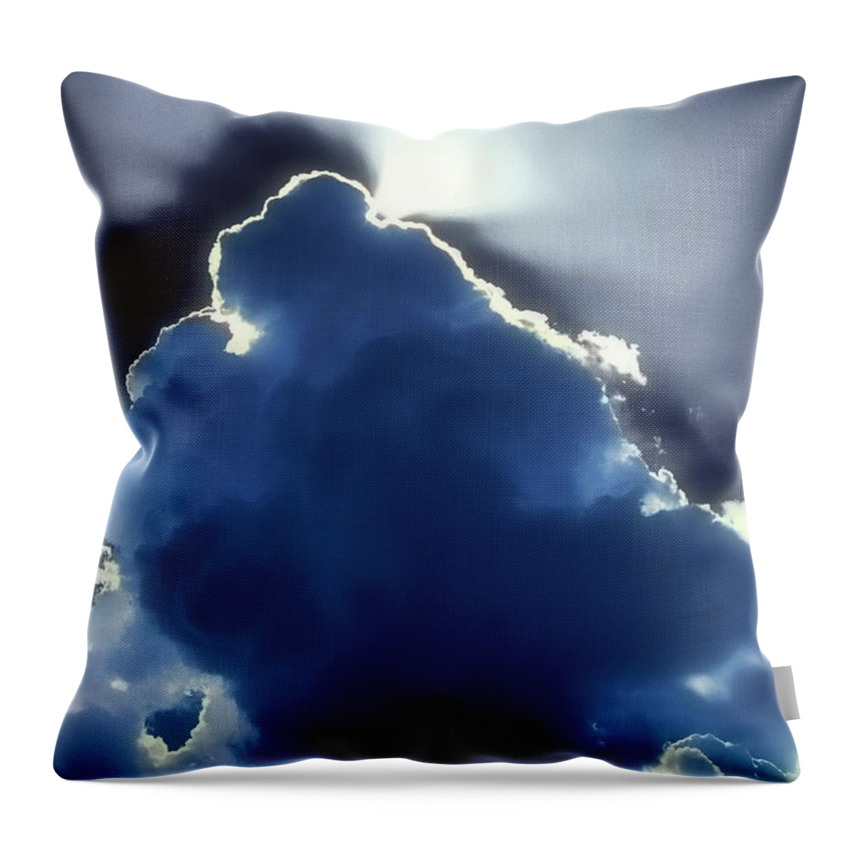 Photographs Throw Pillow featuring the photograph Singing Out by John A Rodriguez