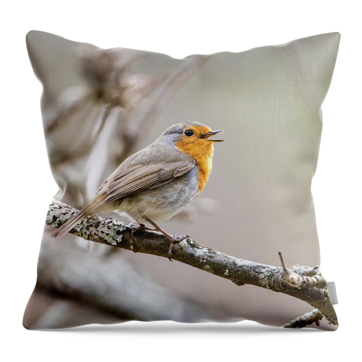 Singing Robin Throw Pillow featuring the photograph Singing Robin by Torbjorn Swenelius
