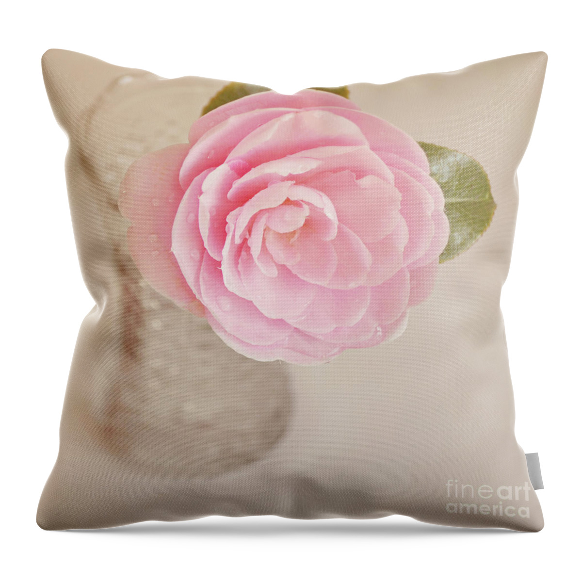 Camelia Throw Pillow featuring the photograph Single pink Camelia flower in clear vase by Lyn Randle