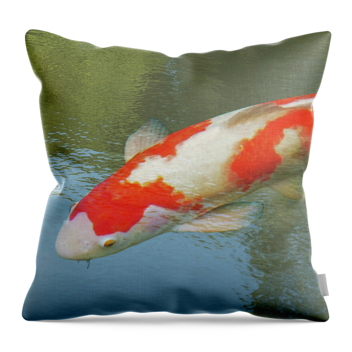 Fish Throw Pillow featuring the photograph Single Red and White Koi by Gill Billington