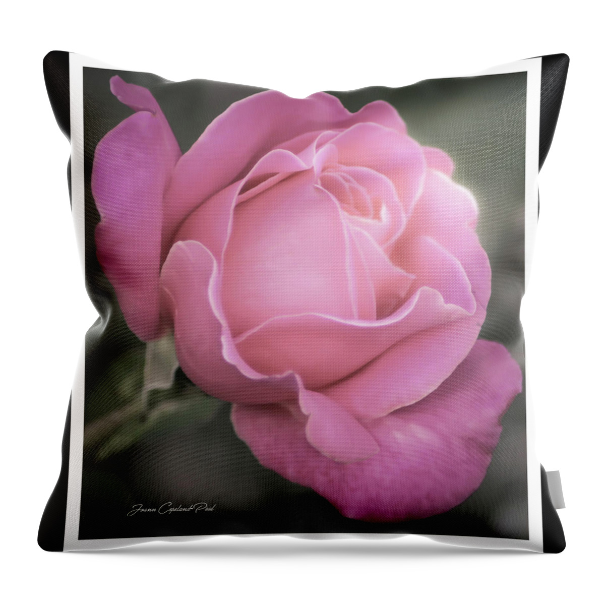 Pink Rose Throw Pillow featuring the photograph Single Stem Pink Rose by Joann Copeland-Paul