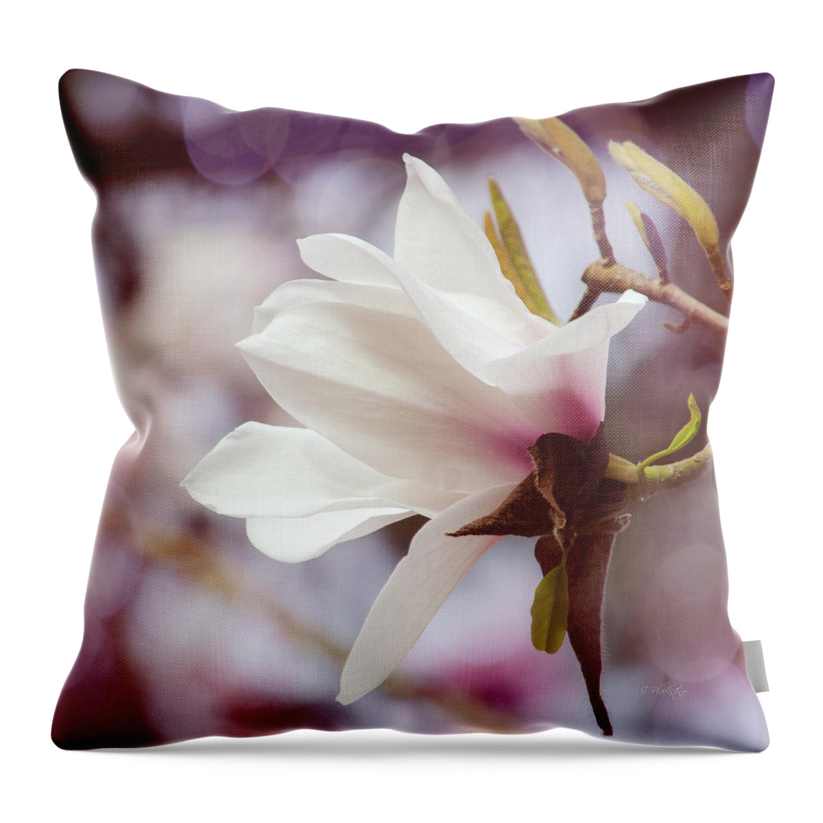 Single White Magnolia Throw Pillow featuring the photograph Single White Magnolia by Jordan Blackstone
