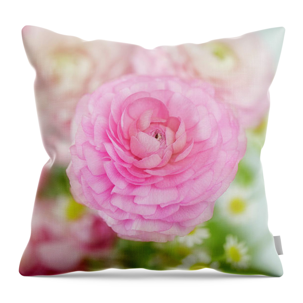 Pink Throw Pillow featuring the photograph Singular Beauty of Pink Ranunculus by Susan Gary