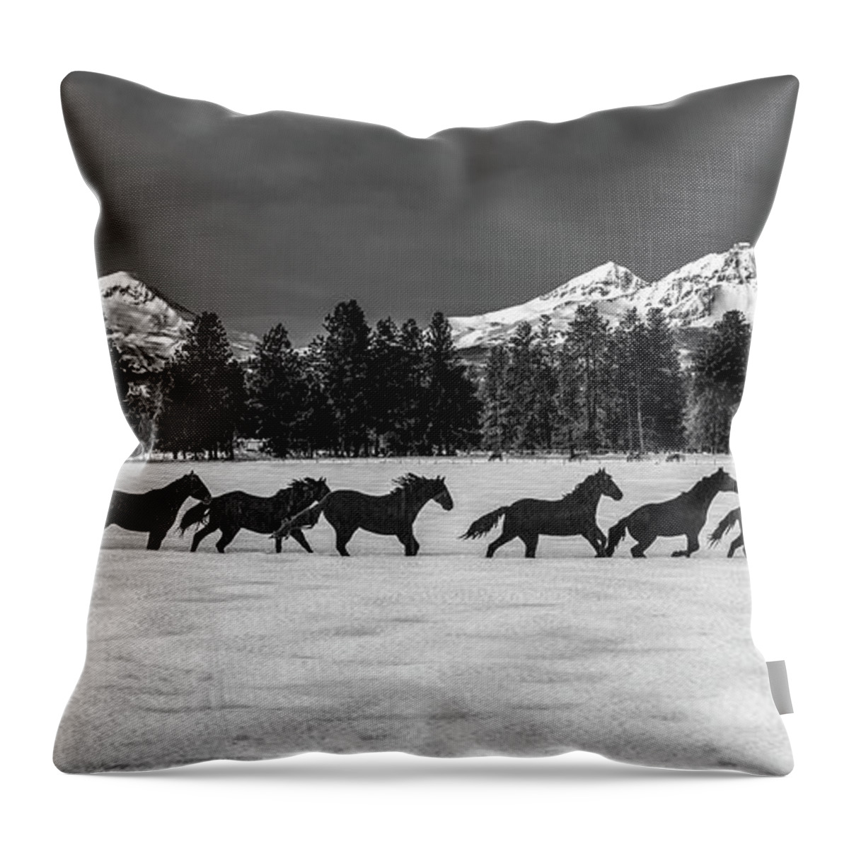 Sisters Throw Pillow featuring the photograph Sisters Horses in Black and White by Twenty Two North Photography