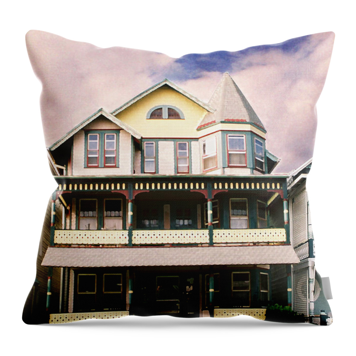 Landscape Throw Pillow featuring the photograph Sisters panel three of Triptych by Steve Karol