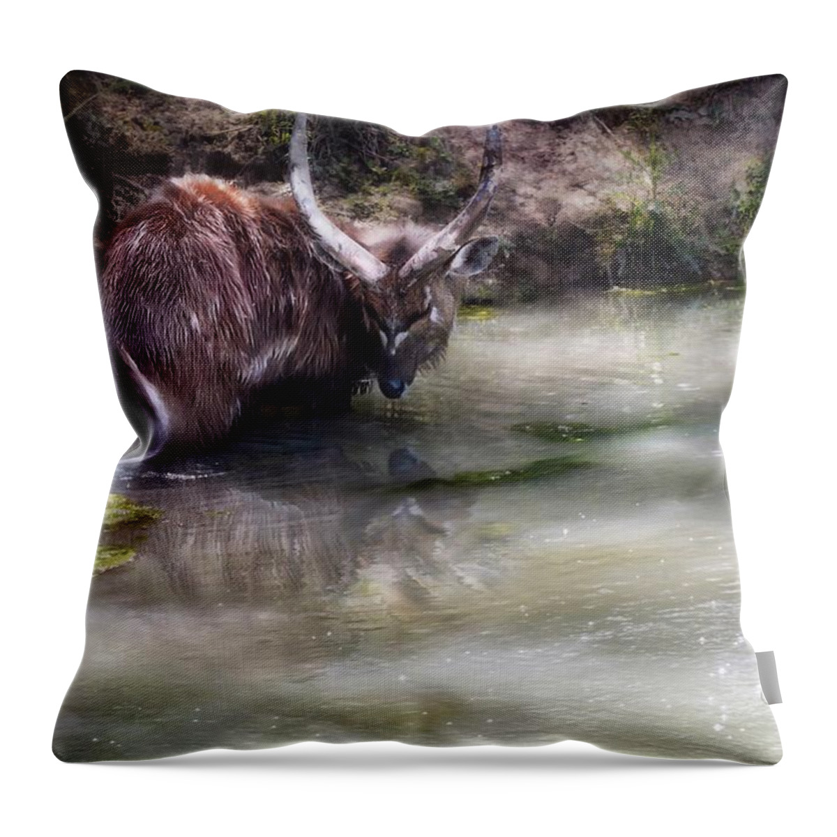 Sitatunga Throw Pillow featuring the digital art Sitatunga by Looking Glass Images