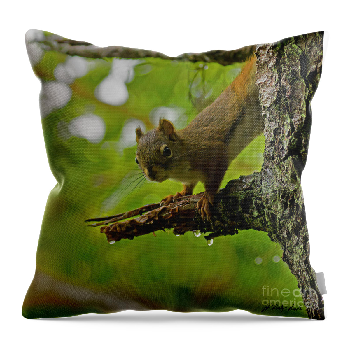 Squirrel Throw Pillow featuring the photograph Sitka Red Squirrel-Signed-#2973 by J L Woody Wooden