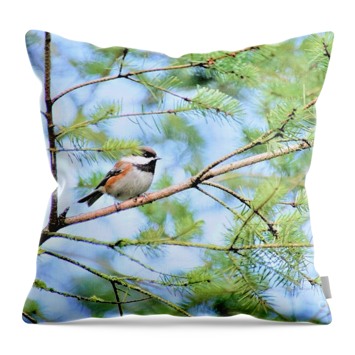 Bird Throw Pillow featuring the photograph Sitting in a tree by Merle Grenz