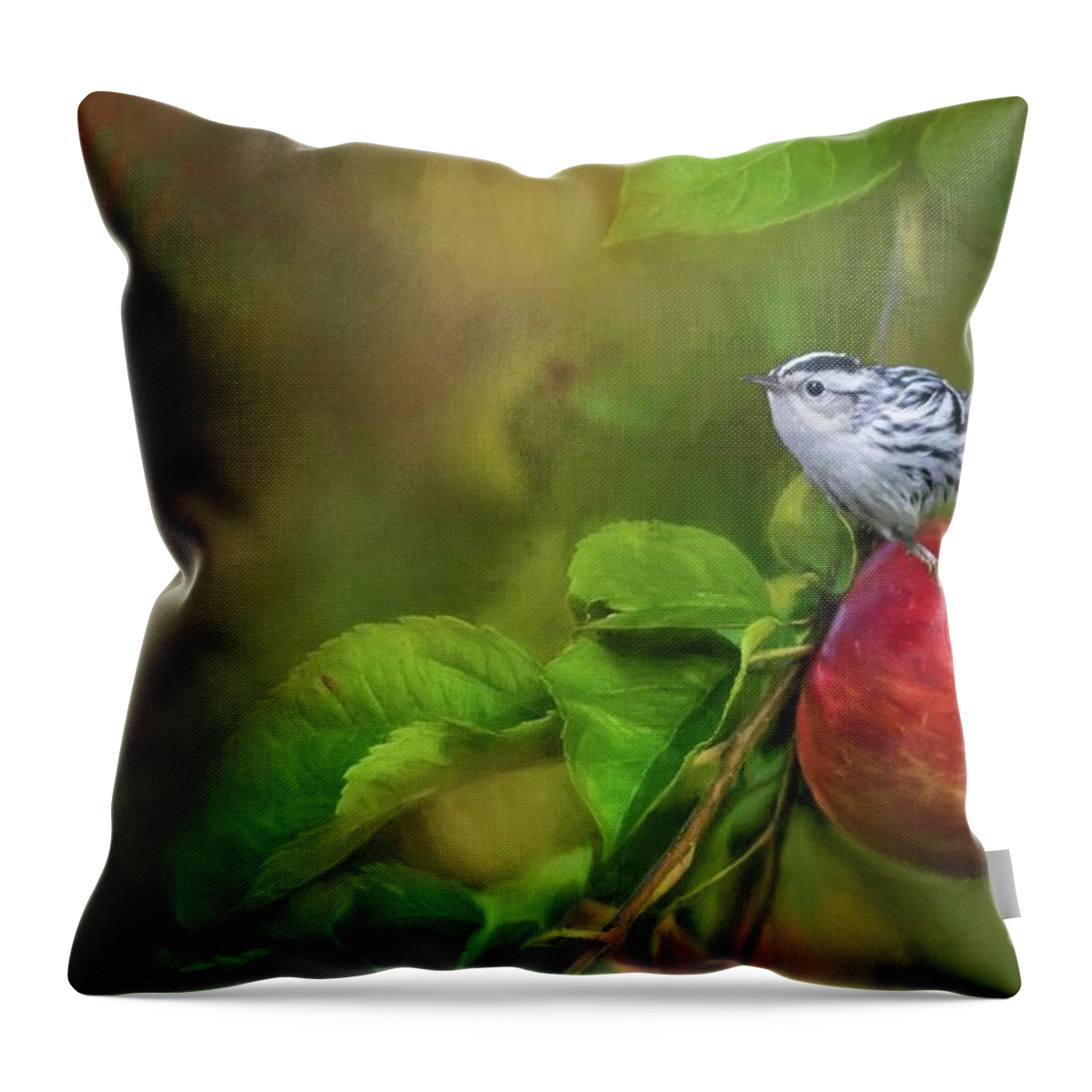 Black And White Warbler Throw Pillow featuring the photograph Sitting on an Apple by Eva Lechner