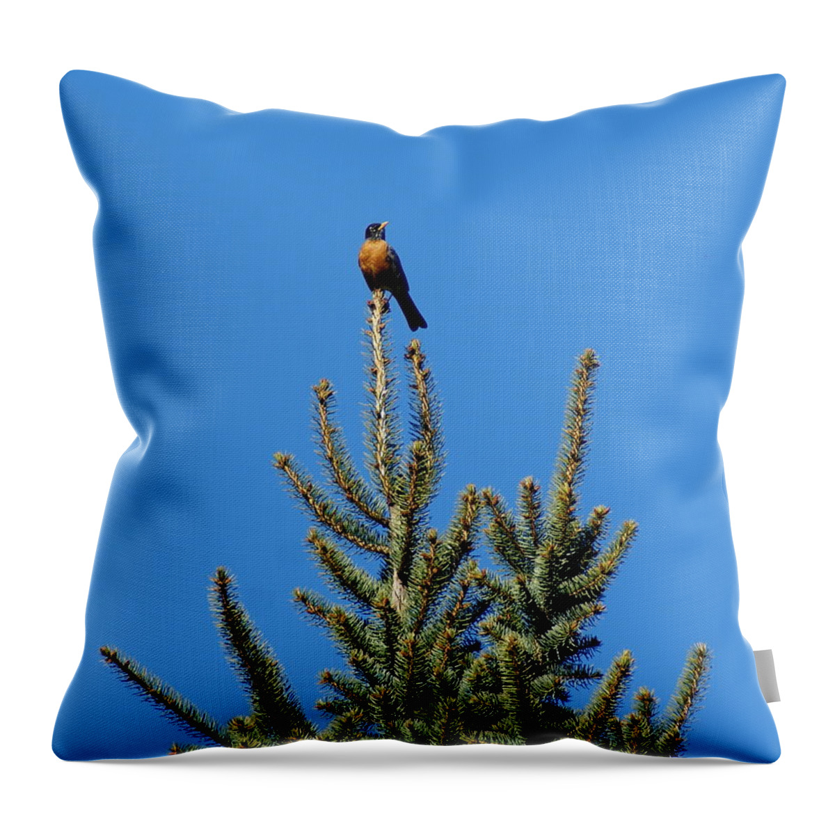 Birds Throw Pillow featuring the photograph Sitting on Top of the World 2 by Ben Upham III
