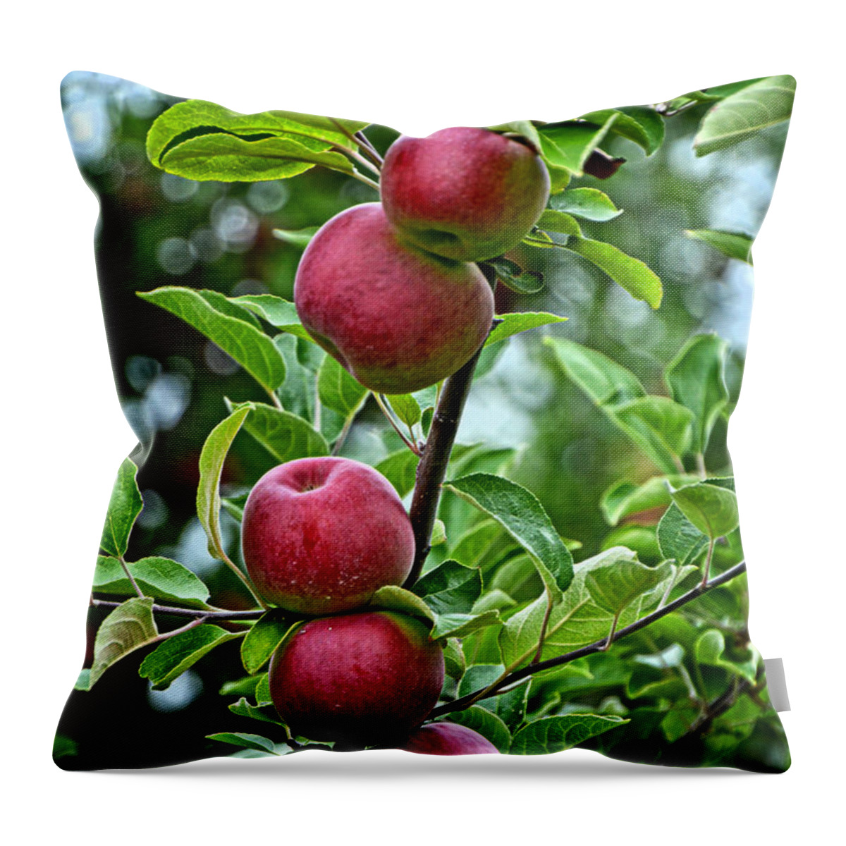6 Throw Pillow featuring the photograph Six Apples by Mike Martin