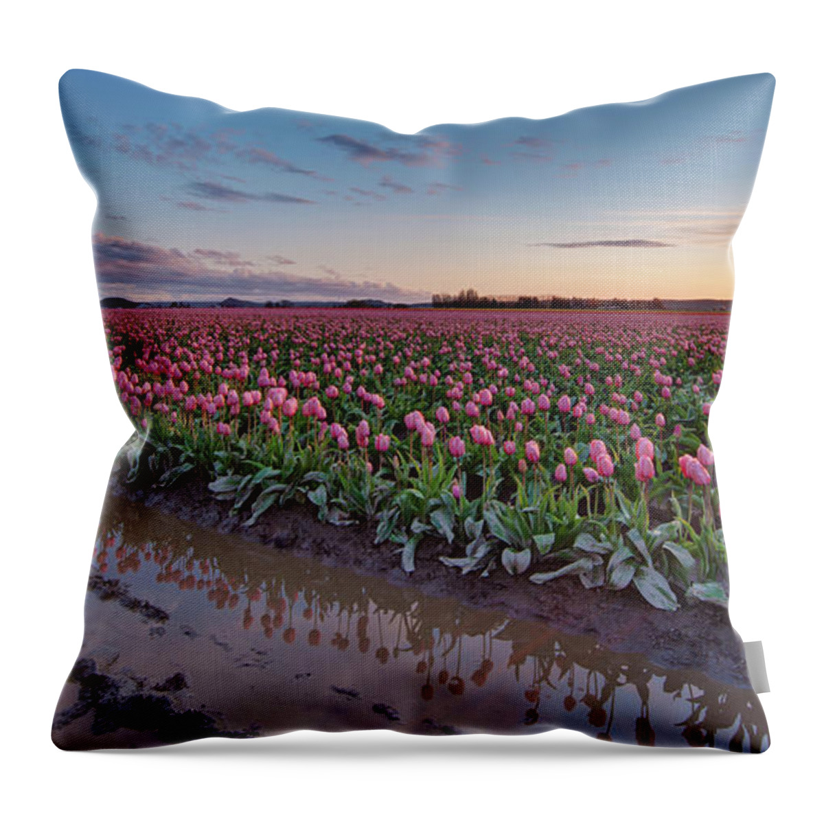 Skagit Valley Tulip Festival Throw Pillow featuring the photograph Skagit Valley Tulip Reflections by Mike Reid