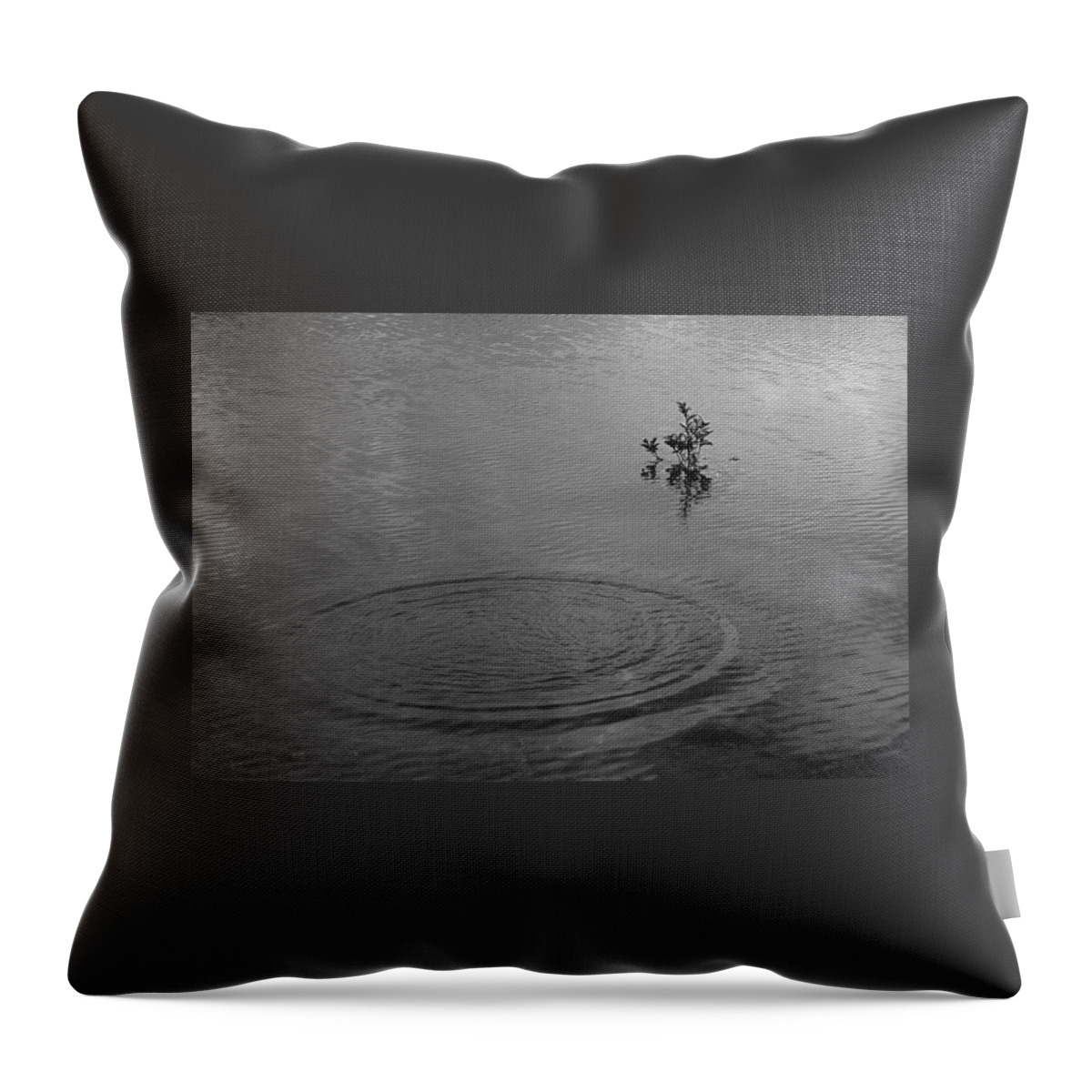 Ringlets Throw Pillow featuring the photograph SKC 3991 I Shall Embrace You Now by Sunil Kapadia