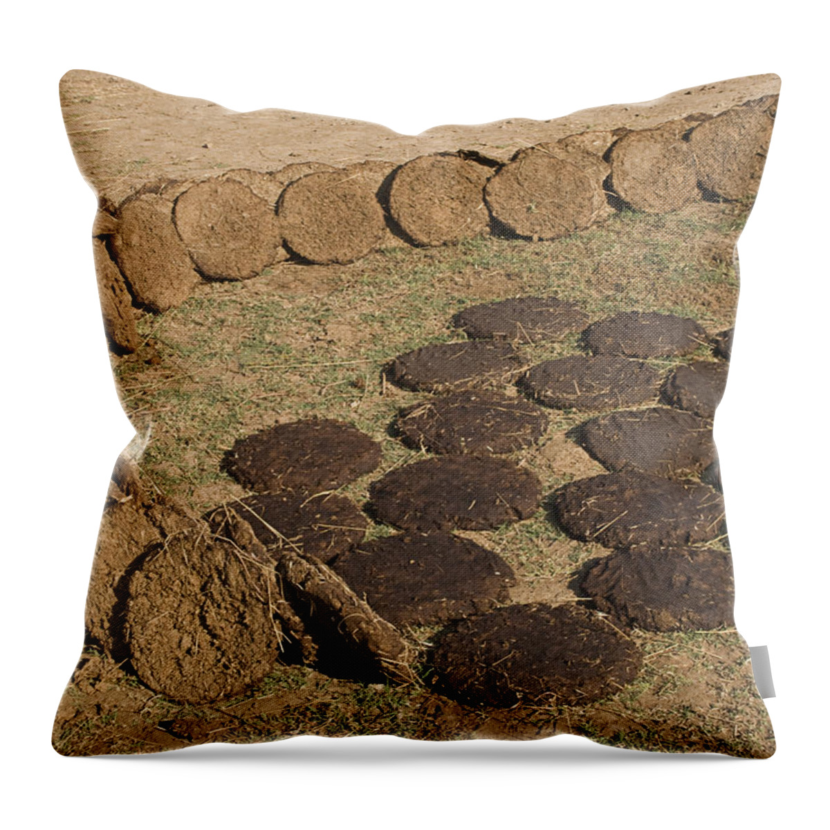 Cow-dung Throw Pillow featuring the photograph SKC 5527 Cowdung Cakes by Sunil Kapadia