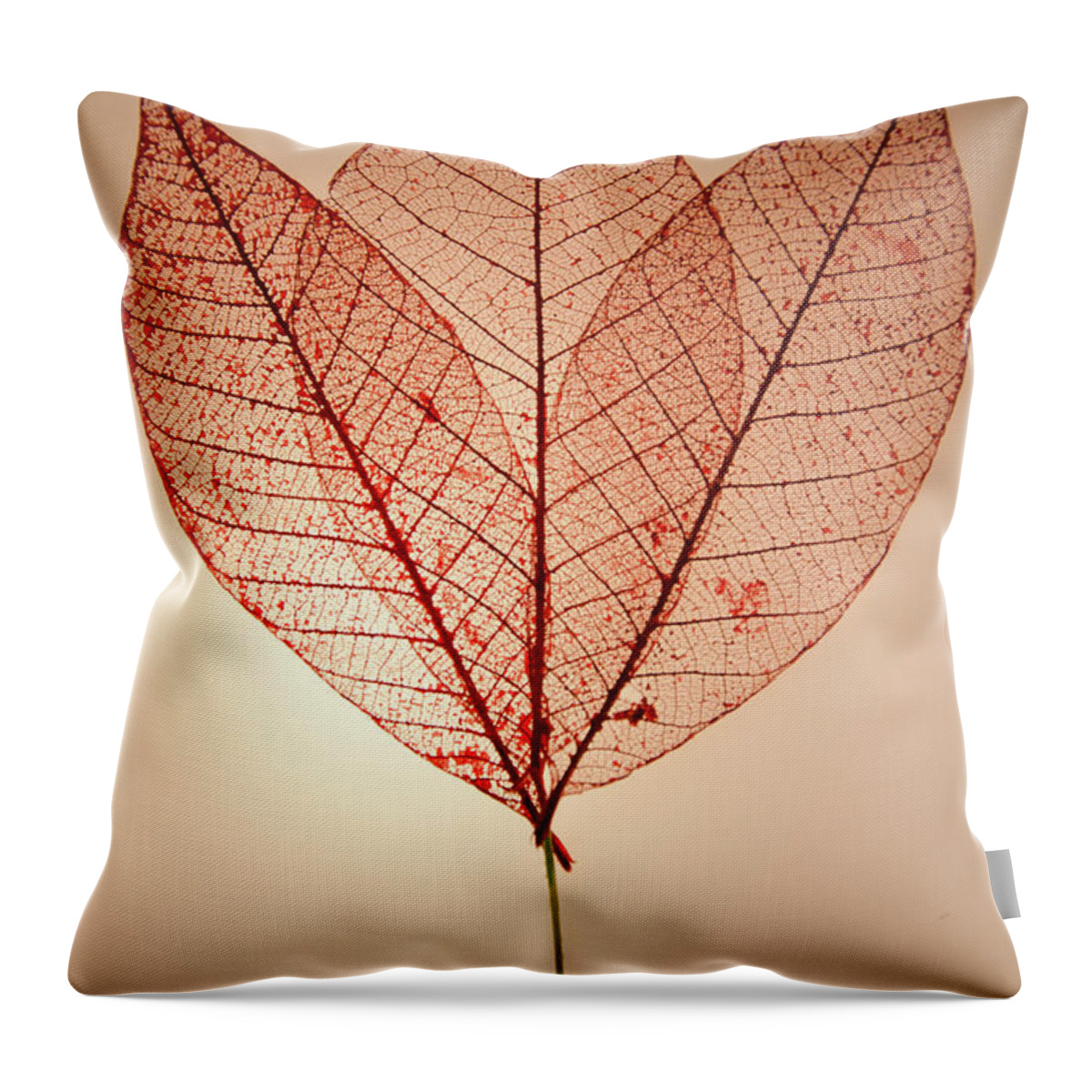 Leaves Throw Pillow featuring the photograph Skeleton Leaves by Susan Cliett