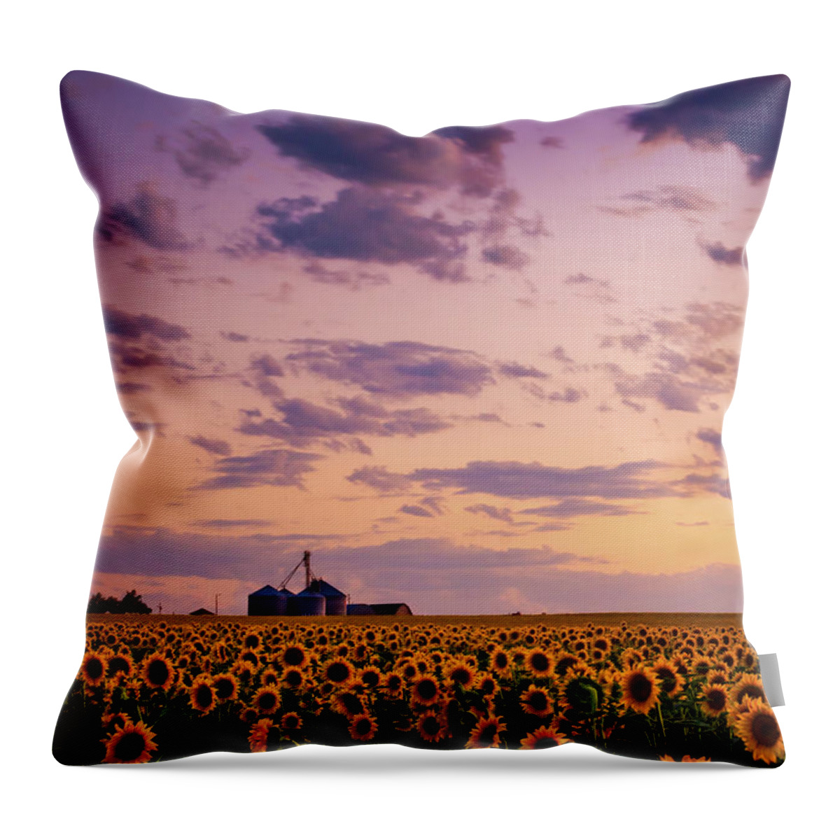 Colorado Throw Pillow featuring the photograph Skies Above The Sunflower Farm by John De Bord