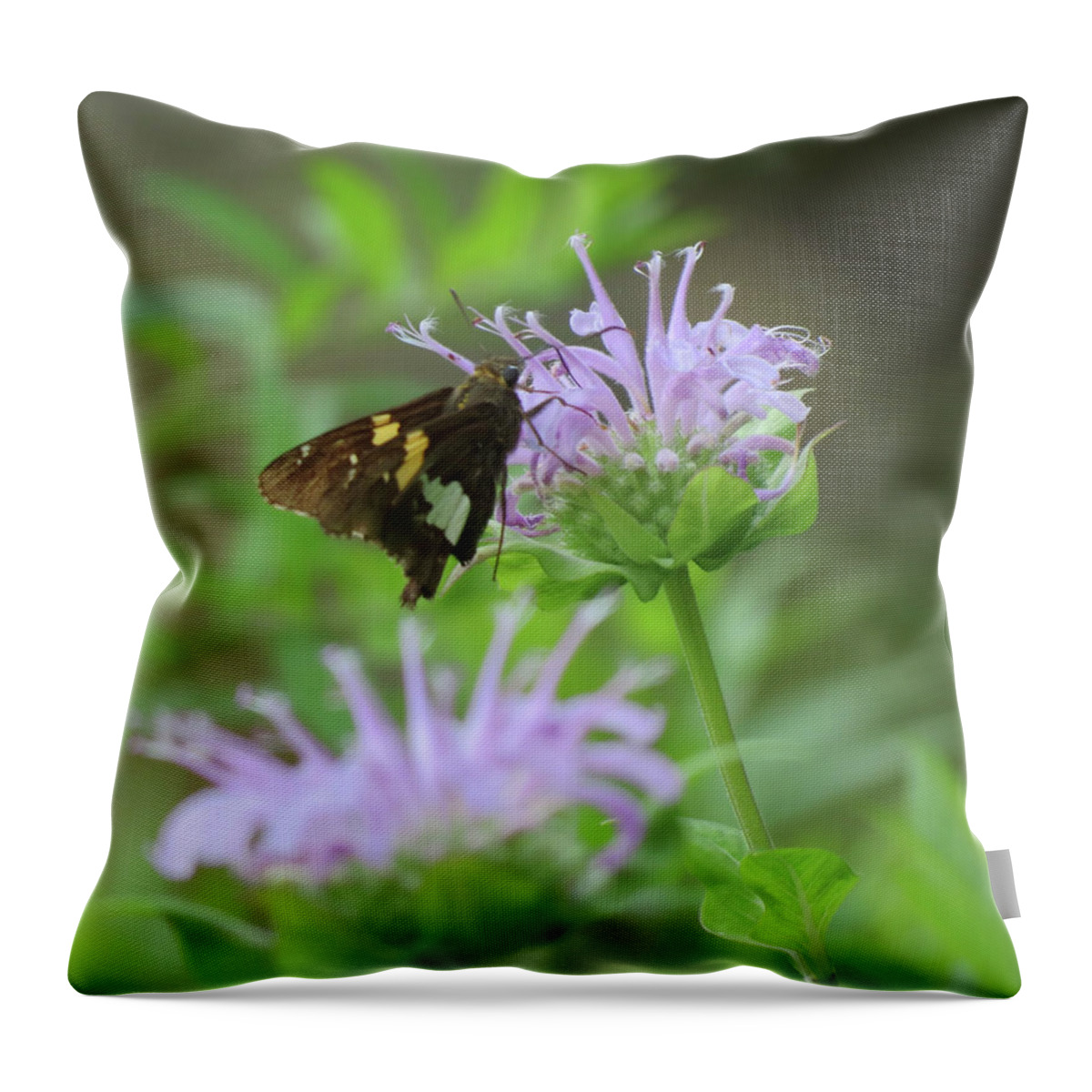 Skipper Throw Pillow featuring the photograph Skipper on Bee Balm - Butterfly by MTBobbins Photography