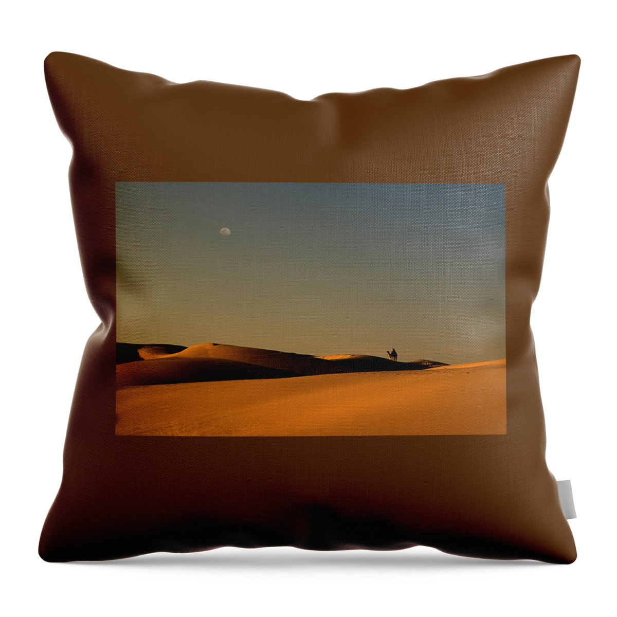Camel Throw Pillow featuring the photograph SKN 1117 Camel Ride at 6 by Sunil Kapadia