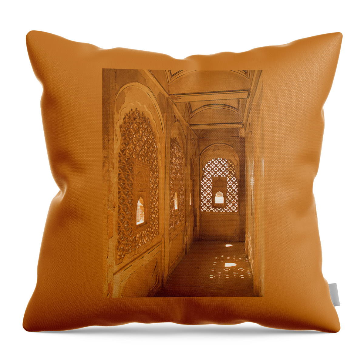 Carved Throw Pillow featuring the photograph SKN 1241 Carved Niche by Sunil Kapadia
