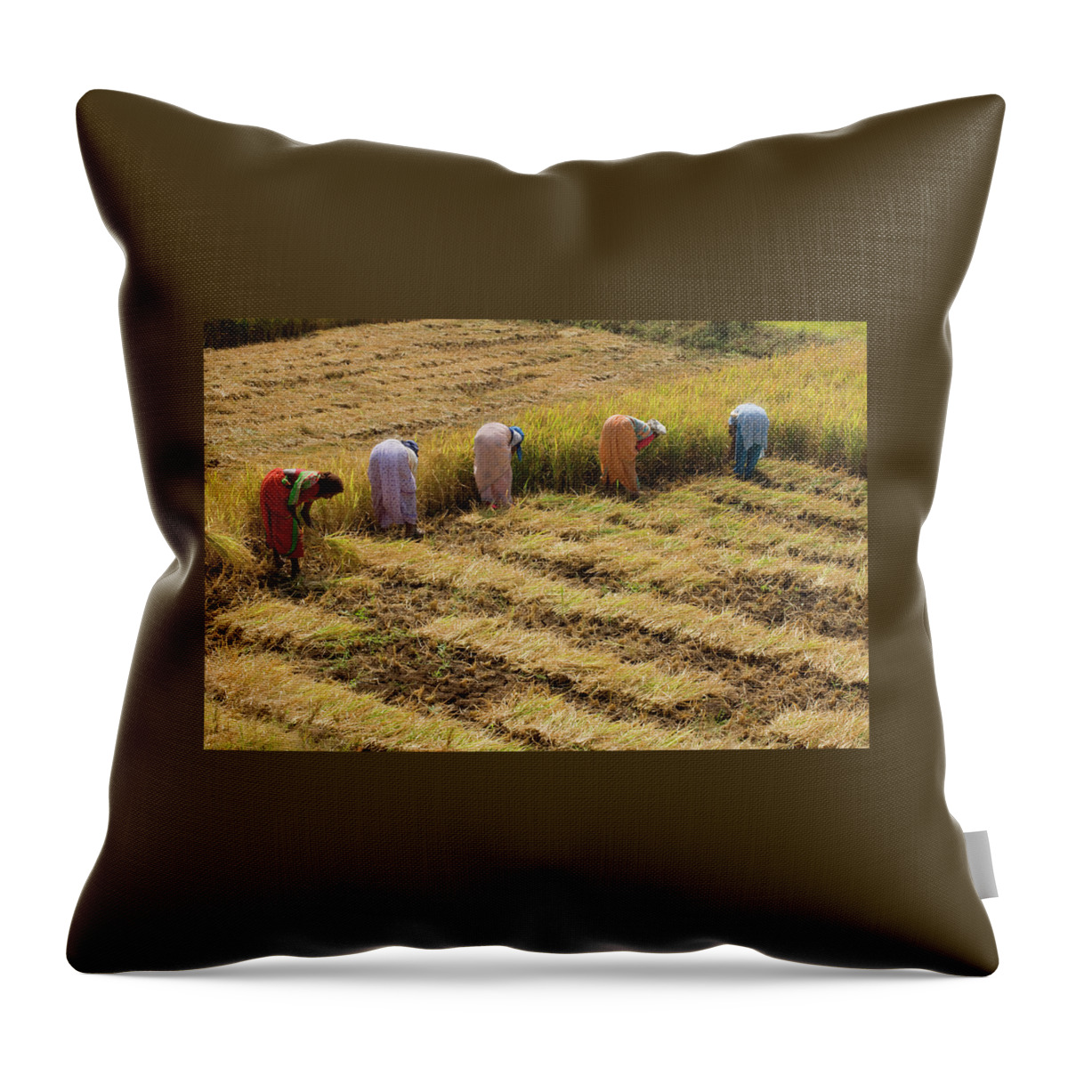 Asia Throw Pillow featuring the photograph SKN 2633 Majority Is Done Color by Sunil Kapadia