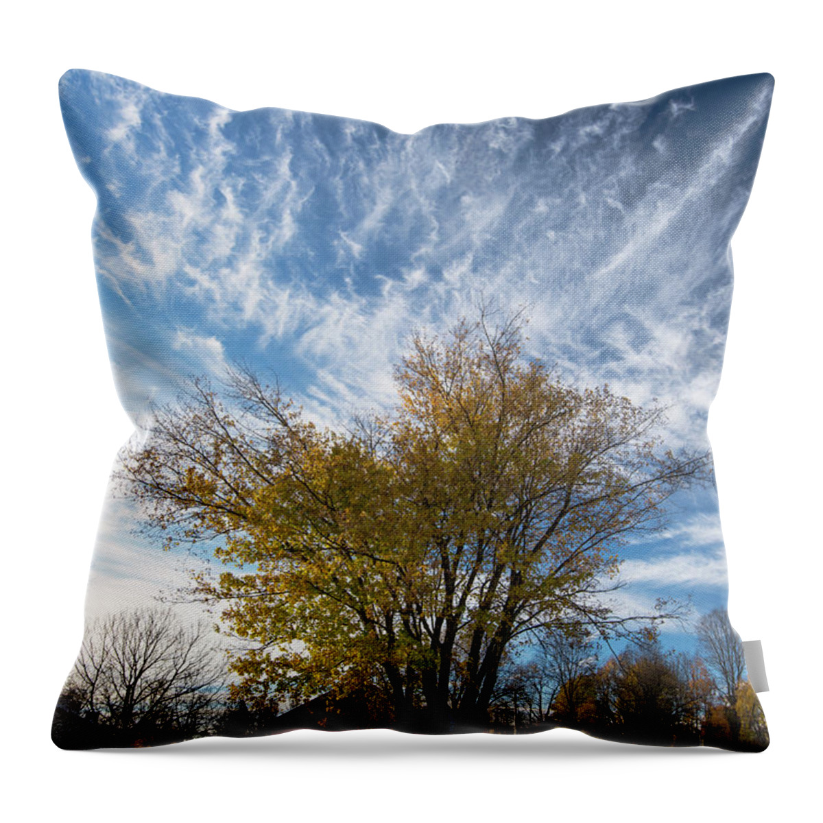 Homestead Throw Pillow featuring the photograph Sky Over the Homestead by Nicki McManus