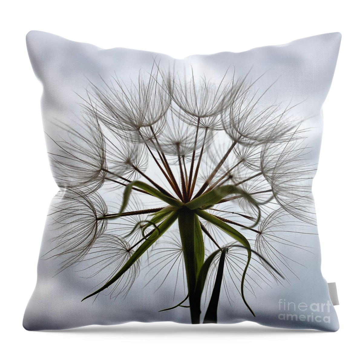 Dandelion Throw Pillow featuring the photograph Sky Pod by Kim Yarbrough