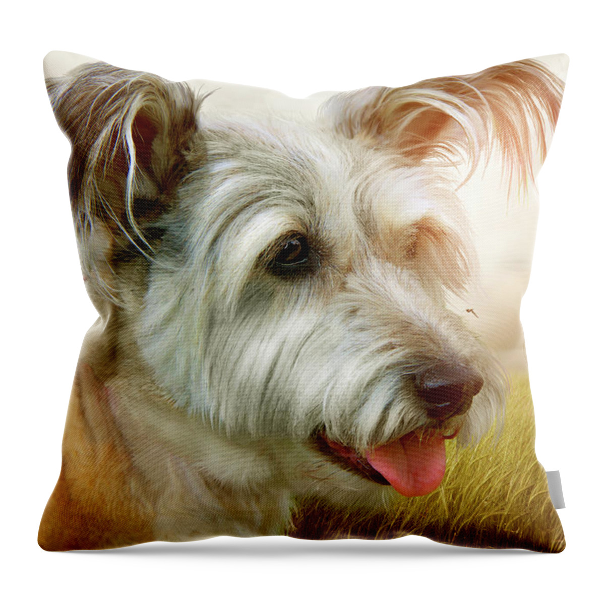 Dog Throw Pillow featuring the photograph Skye Terrier by Ethiriel Photography